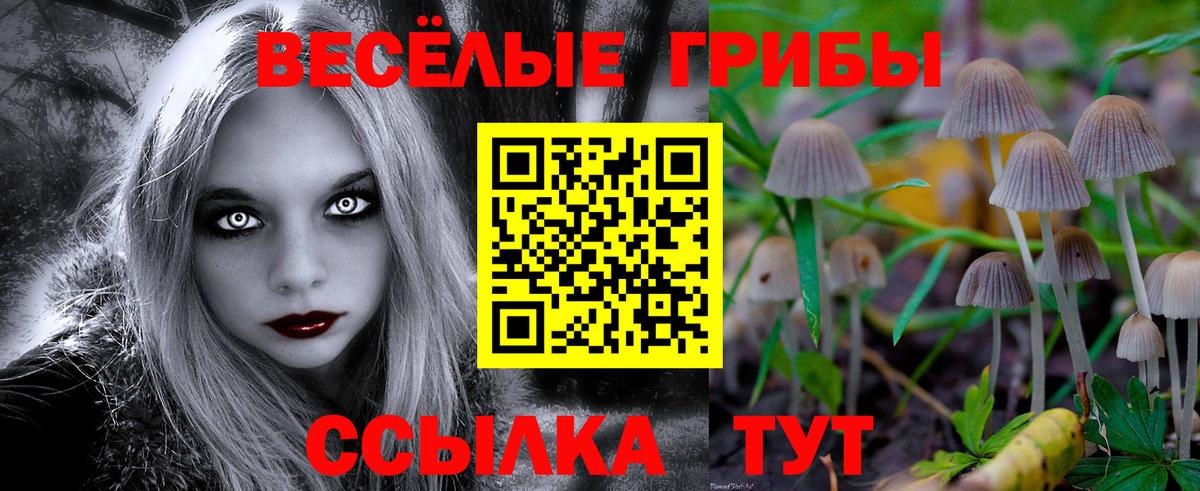 Псилоцибиновые грибы GOLDEN TEACHER Свободный