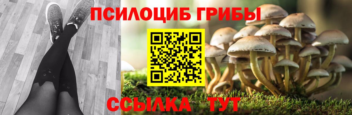 Галлюциногенные грибы Psilocybine cubensis  Вход с VPN  Свободный 